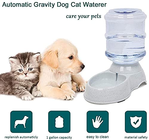 Pet Water Dispenser Station