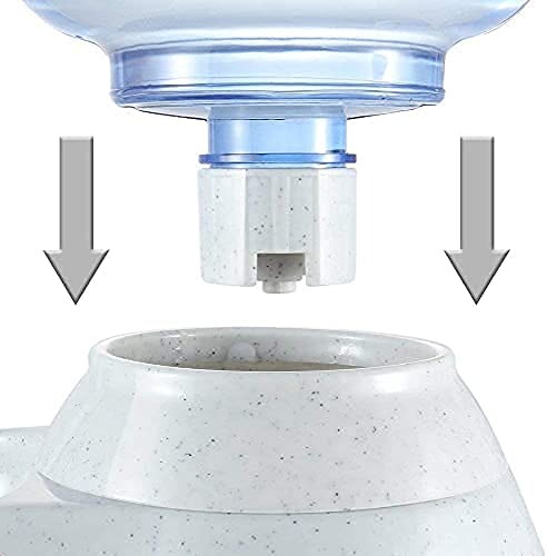 Pet Water Dispenser Station