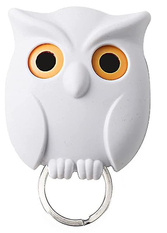 Magnetic Owl Key Holder Set, Cute Night Owl Keyring with Automatic Open Close Eyes, Black and White (Black & White)