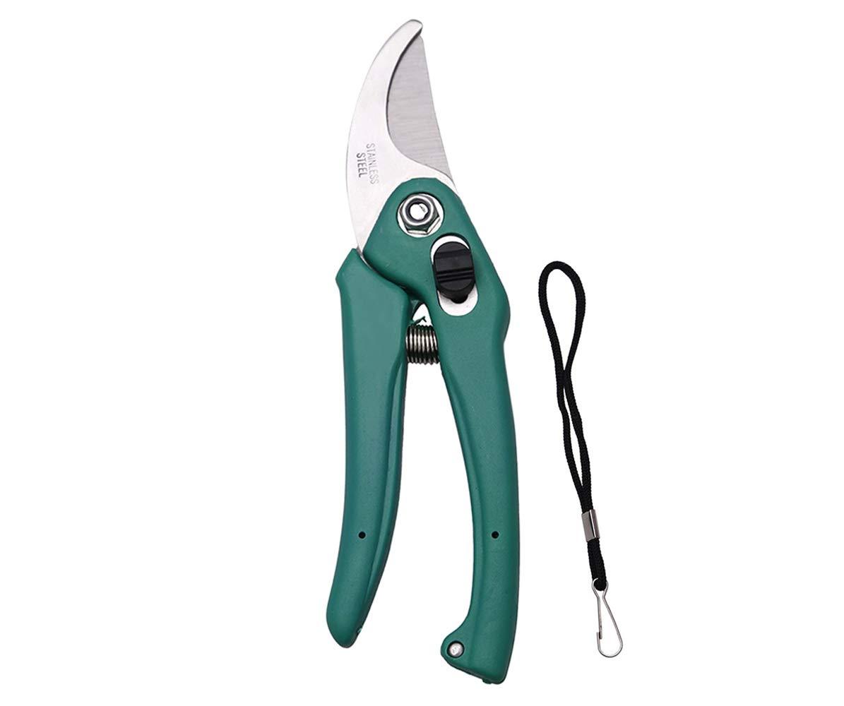 Stainless Steel Garden Scissors, flower cutter