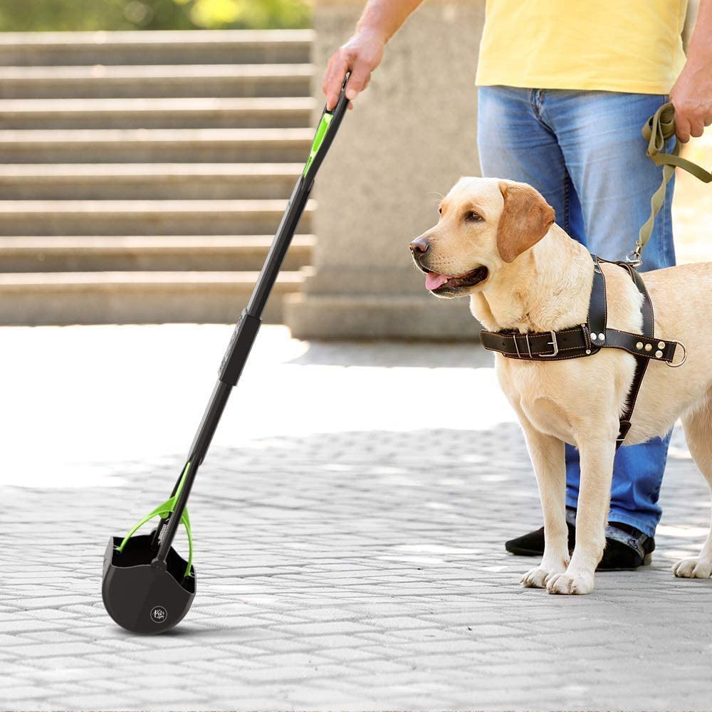 DOG SCOOP