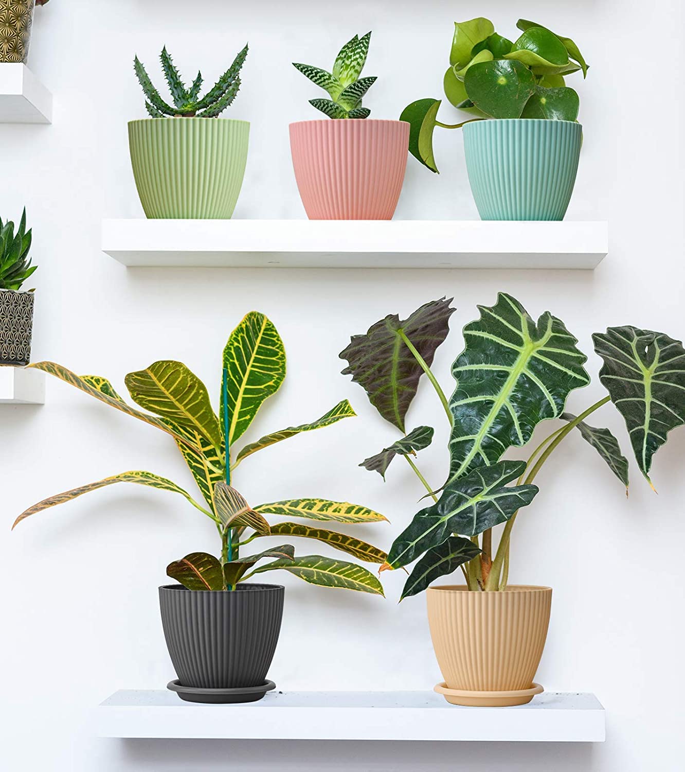 Plastic round flower Plant pot with ice tray 5 pcs