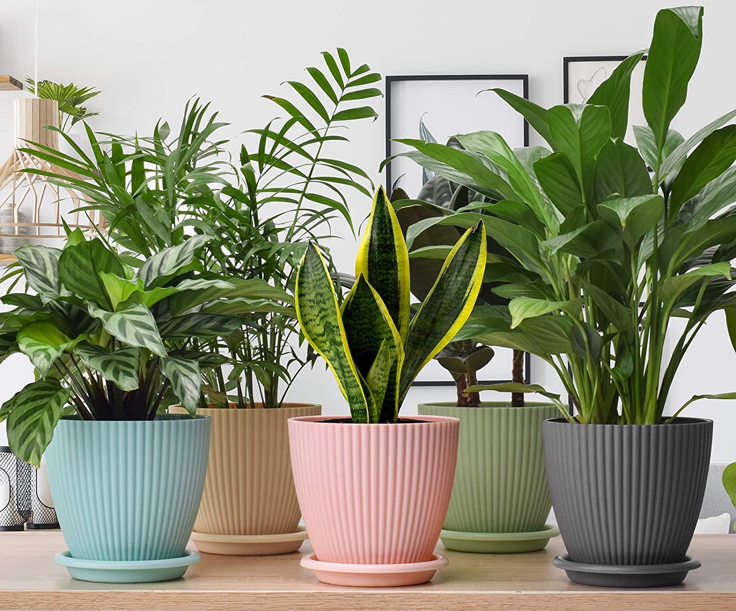 Plastic round flower Plant pot with ice tray 5 pcs