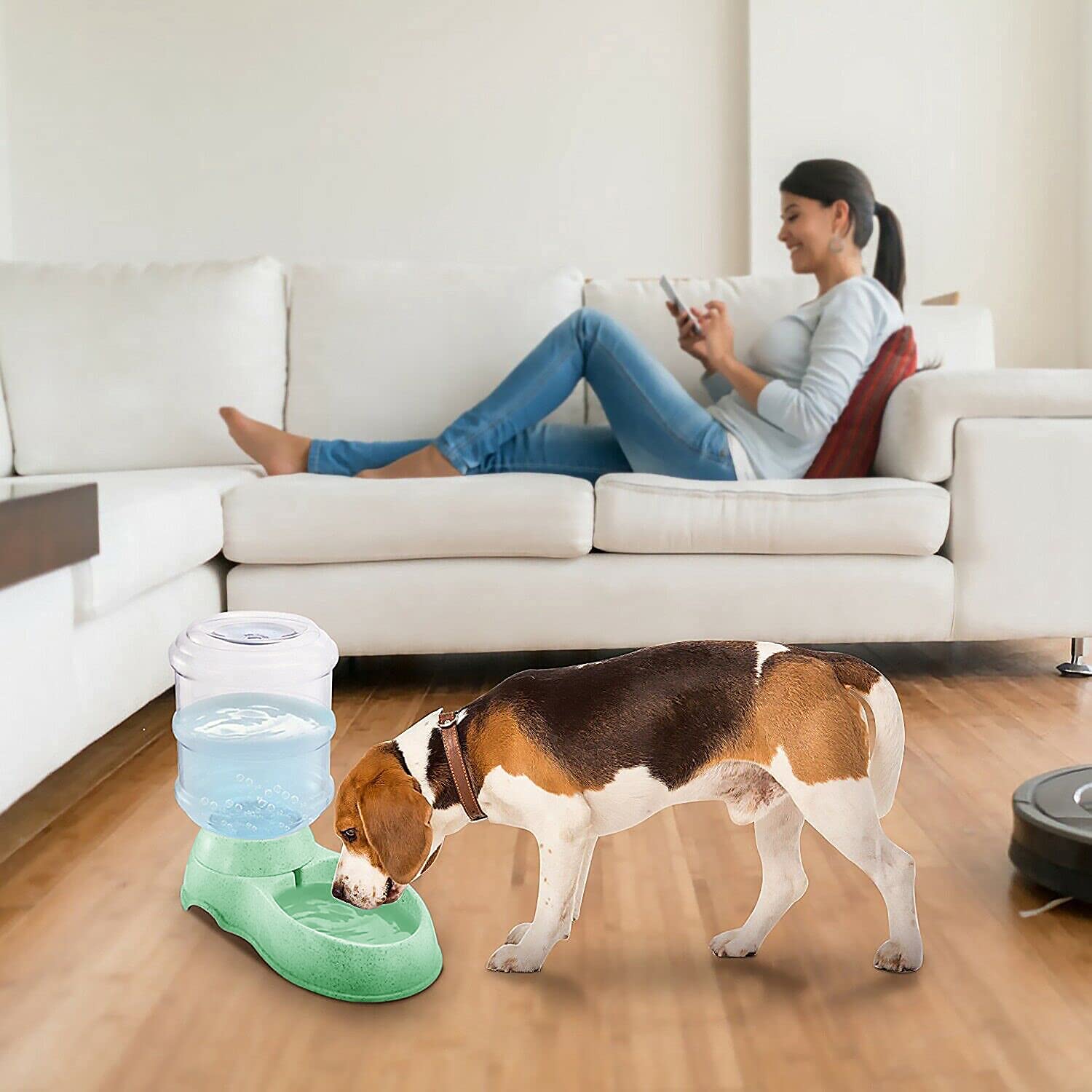 Pet Water Dispenser Station
