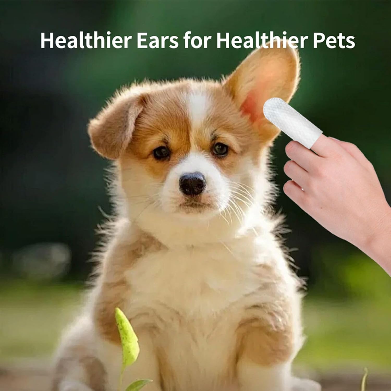 Dog Ear Cleaning Wipes