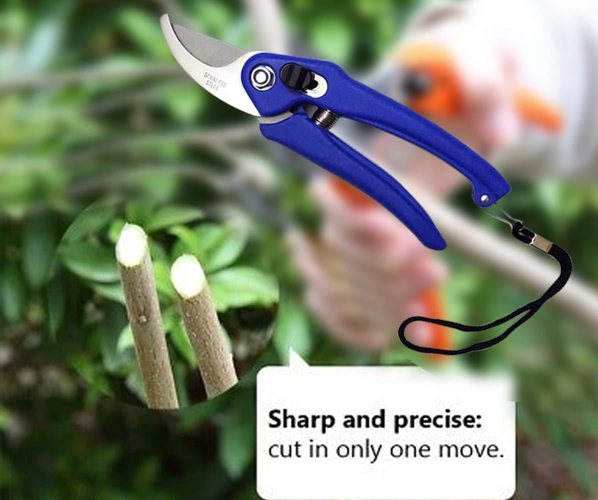 Stainless Steel Garden Scissors, flower cutter
